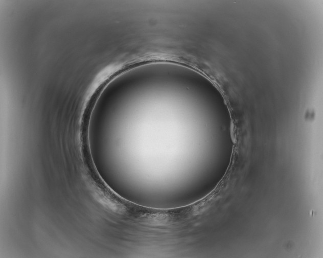 X0000091990104200709061426