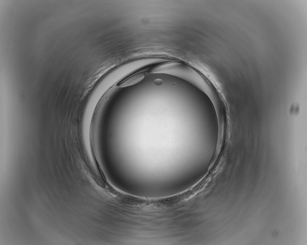 X0000091990105200709061426