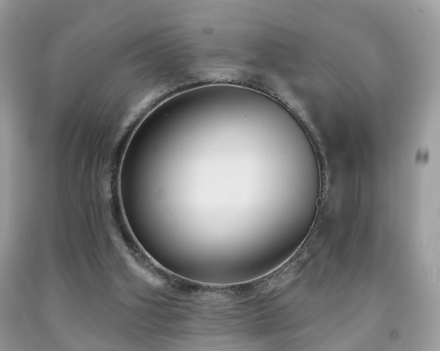 X0000091990106200709061426