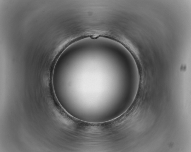 X0000091990107200709061426