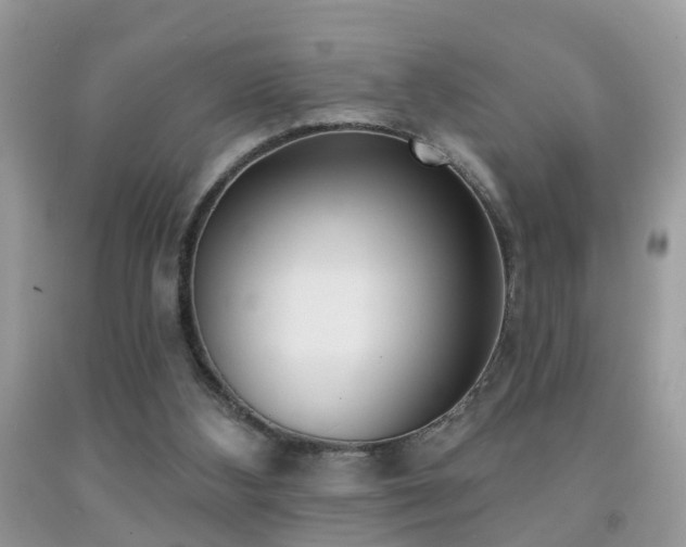 X0000091990108200709061426