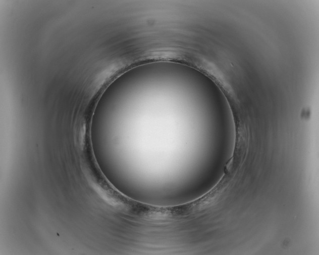 X0000091990110200709061426