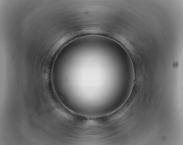 X0000091990111200709061426