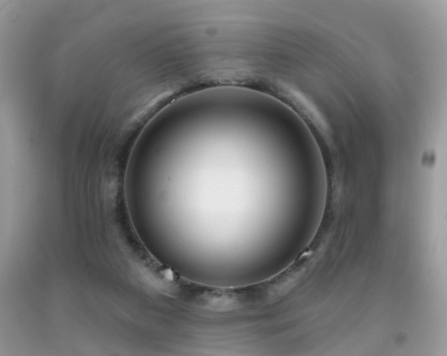 X0000091990113200709061426