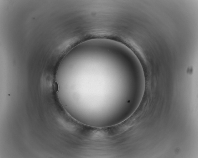 X0000091990115200709061426