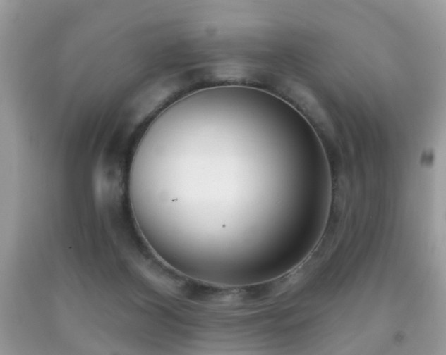 X0000091990116200709061426