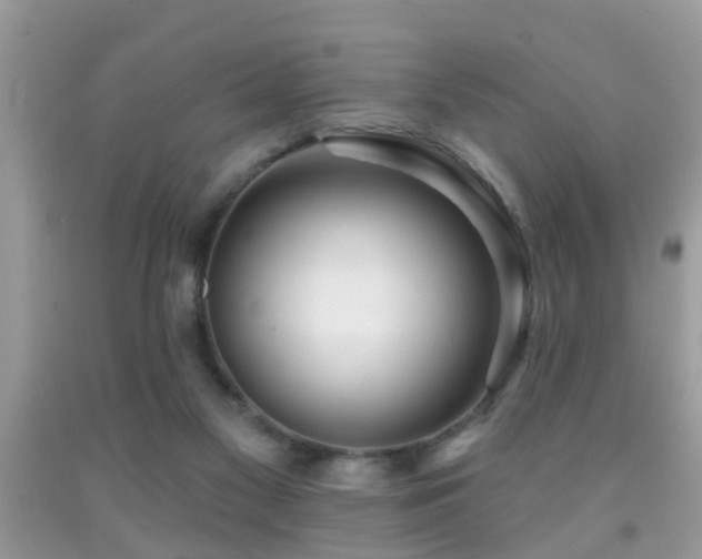 X0000091990117200709061426