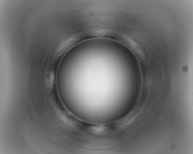 X0000091990118200709061426