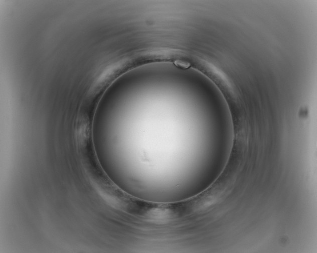 X0000091990119200709061426