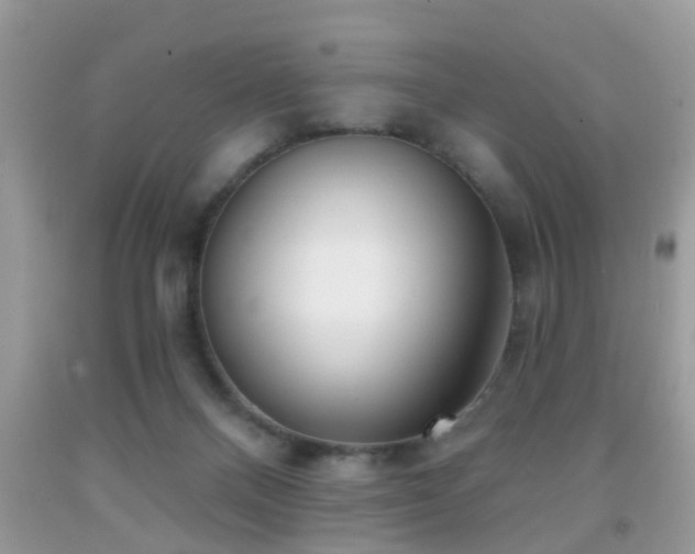 X0000091990120200709061426