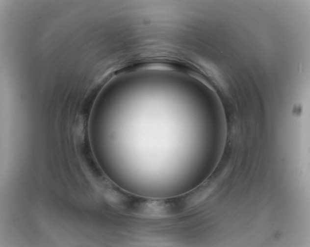 X0000091990121200709061426