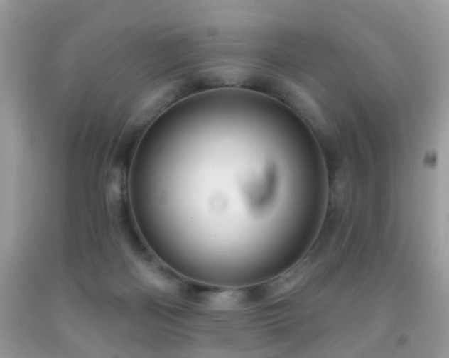 X0000091990122200709061426