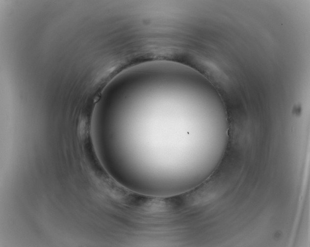X0000091990123200709061426
