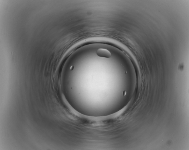 X0000091990125200709061426