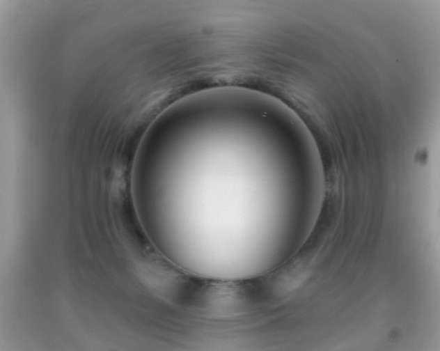 X0000091990127200709061426