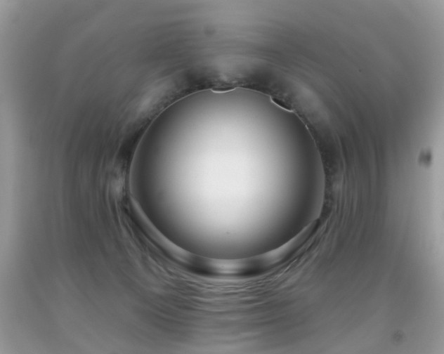 X0000091990129200709061426
