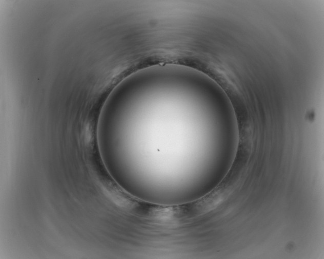 X0000091990131200709061426