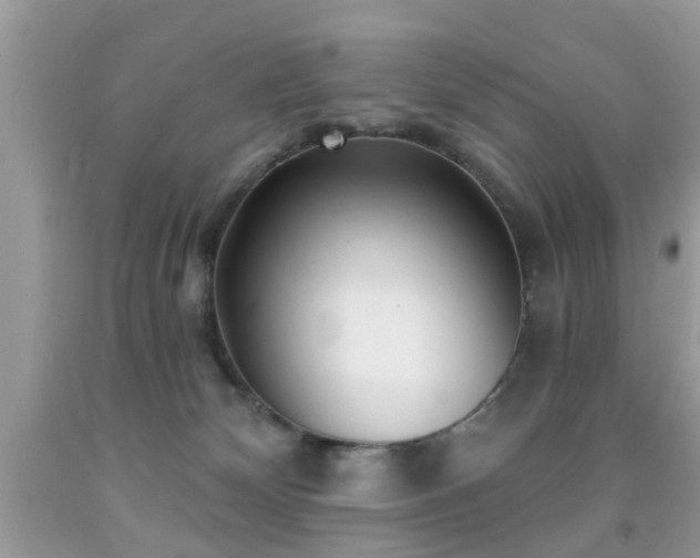 X0000091990132200709061426