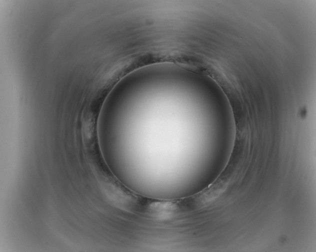 X0000091990133200709061426