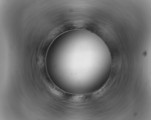 X0000091990136200709061426
