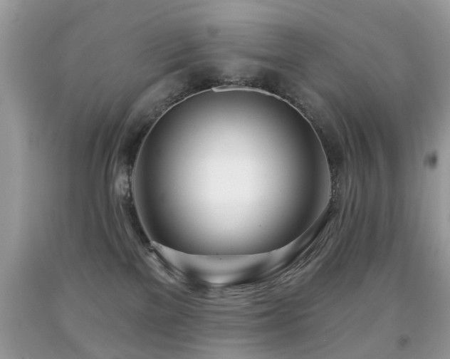 X0000091990137200709061426