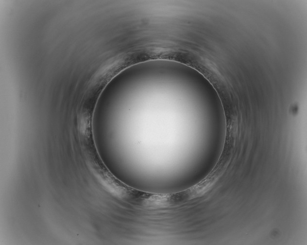 X0000091990138200709061426