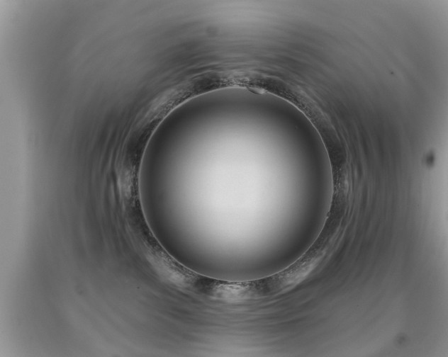 X0000091990139200709061426