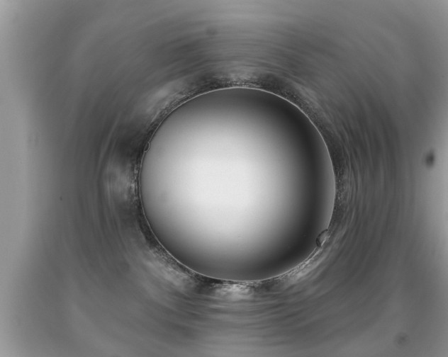 X0000091990140200709061426