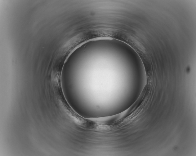 X0000091990141200709061426