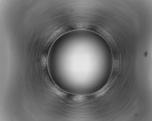 X0000091990142200709061426