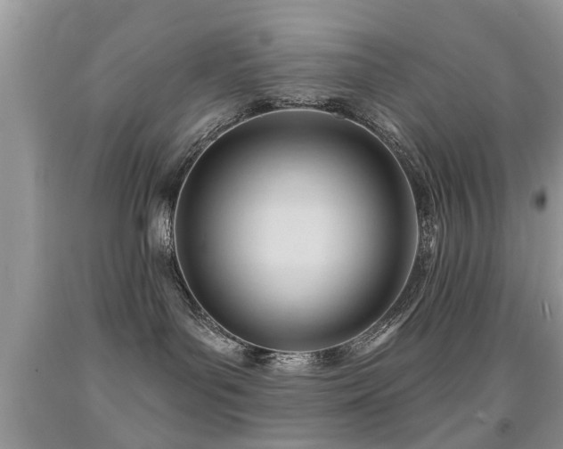 X0000091990143200709061426