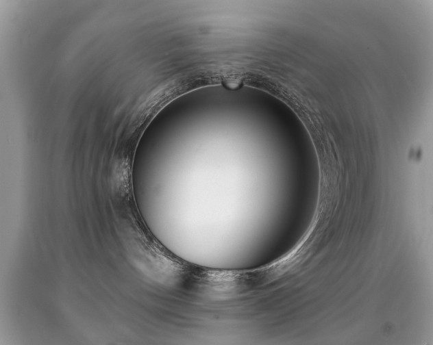 X0000091990144200709061426
