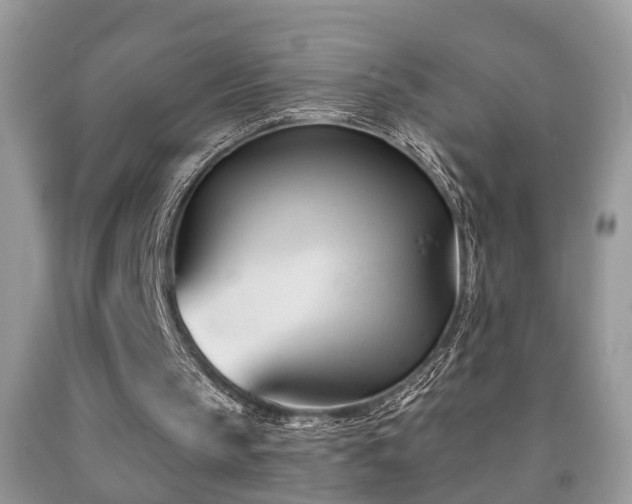 X0000091990145200709061425