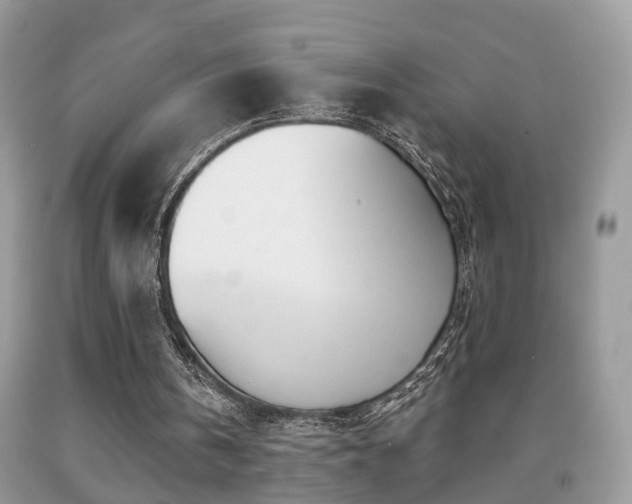 X0000091990146200709061425