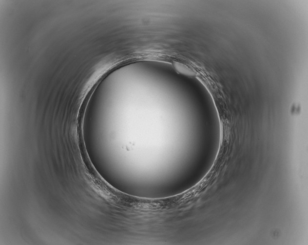 X0000091990147200709061425