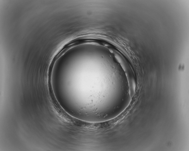 X0000091990148200709061425
