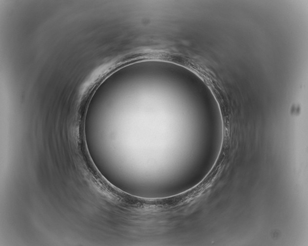 X0000091990149200709061425