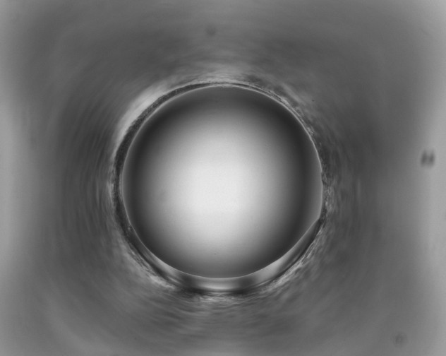 X0000091990152200709061425