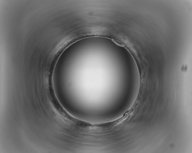 X0000091990154200709061425