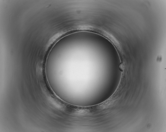 X0000091990155200709061425