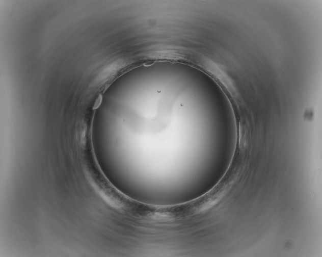 X0000091990157200709061425