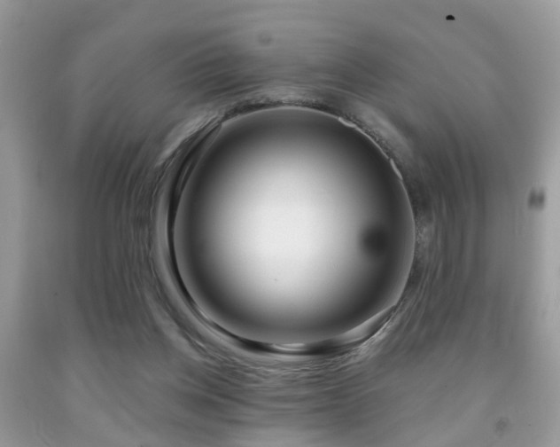 X0000091990158200709061425