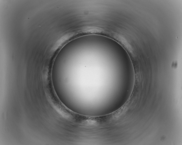 X0000091990159200709061425