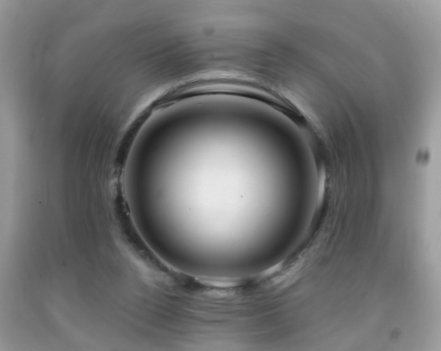 X0000091990160200709061425