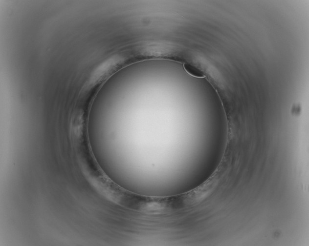 X0000091990163200709061425