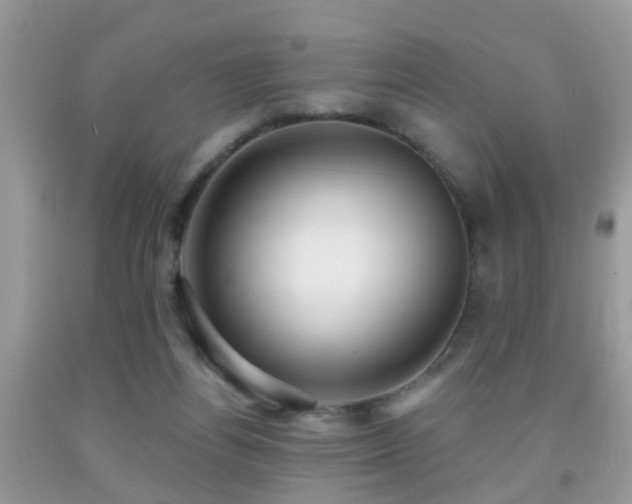 X0000091990164200709061425