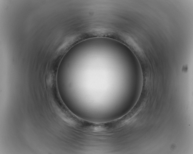 X0000091990165200709061425