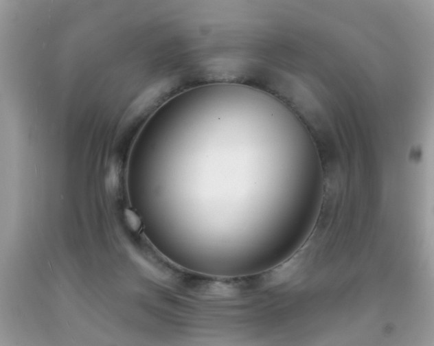 X0000091990166200709061425