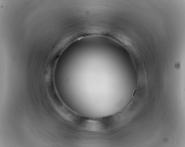 X0000091990167200709061425