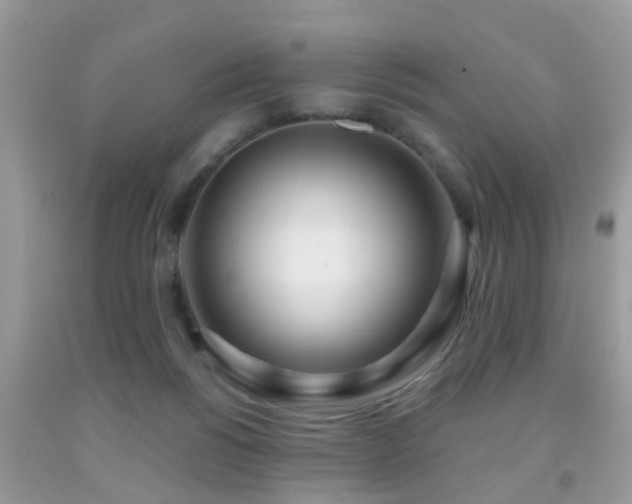 X0000091990168200709061425